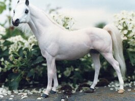 Sapphire Rose, Arab mare Breyer Cl Silky Sulivan r/h in the 1980's?