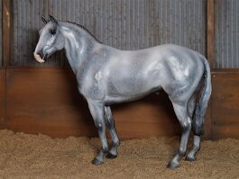 Glenagyle Wizard of Oz, Traditional Irish Horse stallion. Breyer Adios r/r/r in 1992