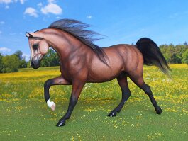 Mikado, Arab gelding. Breyer PAM repositioned by Laura Behning, r/h by Carla Clifford in 1992
