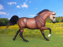 Mikado, Arab gelding. Breyer PAM repositioned by Laura Behning, r/h by Carla Clifford in 1992