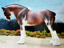 Samwise, Clydesdale. Chris Jolly Just plain Bill resin r in the 1990’s.